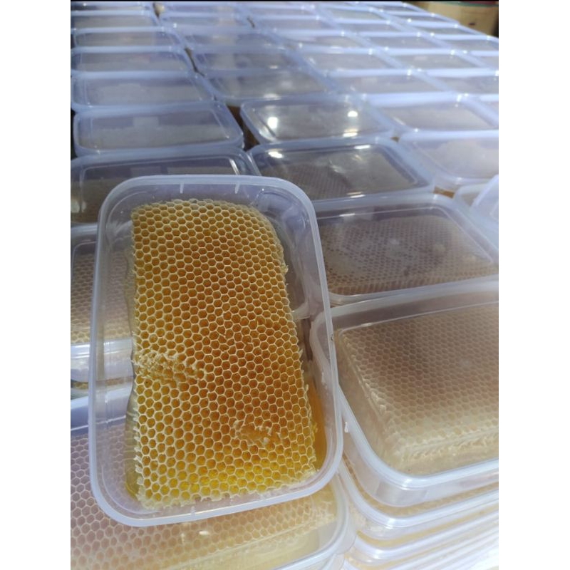 

Bny31 Sarang Madu Melifera 100gr Madu Melifera Sarang Madu Asli