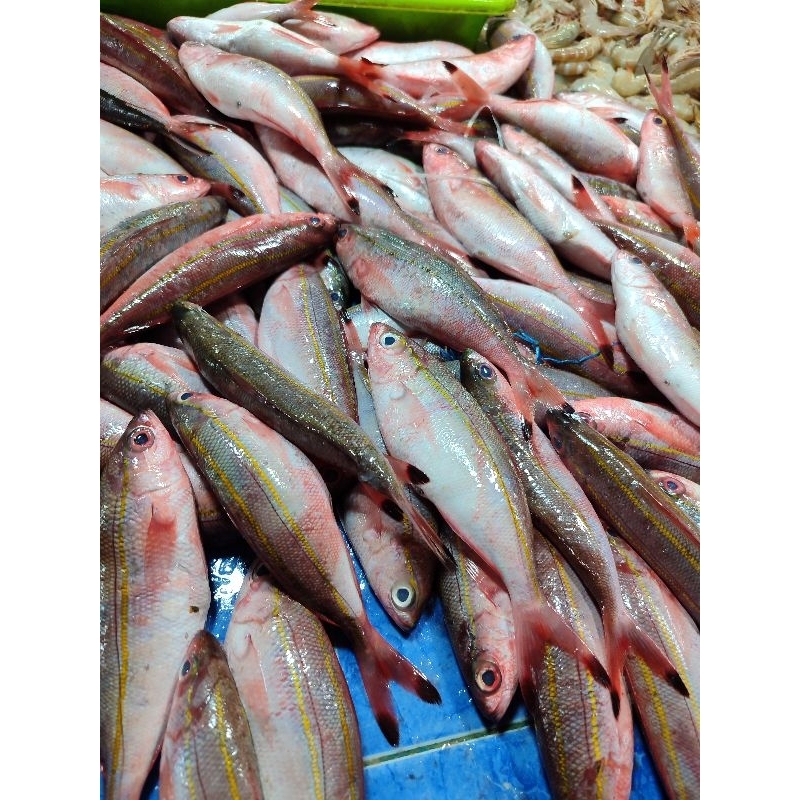 

IKAN BIJI NANGKA 1 Kg