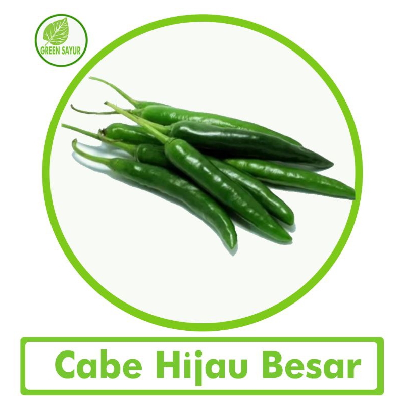 

Cabe Hijau Besar