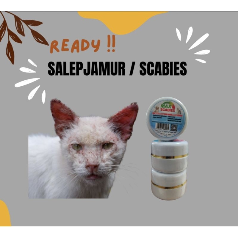 MAX SCABIES[SALEP JAMUR/SCABIES]