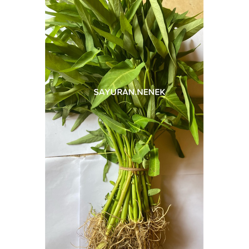 

Kangkung 1 ikat