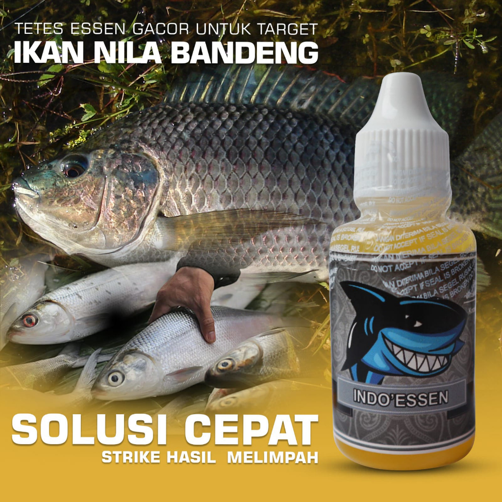 ( UMPAN TASIK TERBAIK ) essen pisang ambon melon bolu susu , essen ikan mas paling gacor cocok segal