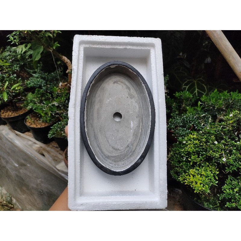 Pot Bonsai Oval Ceper Premium Pot Bonsai Penjing Pot Bonsai Bonsai Penjing ORIGINAL