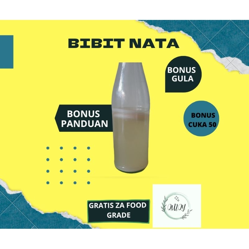 bibit nata starter nata biang nata de coco bakteri acetobacter xylinum nata strater