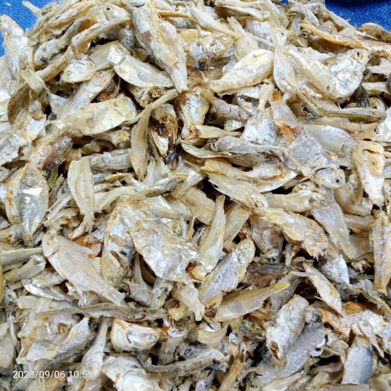 

Ikan Sampah 500 gr / Ikan campur
