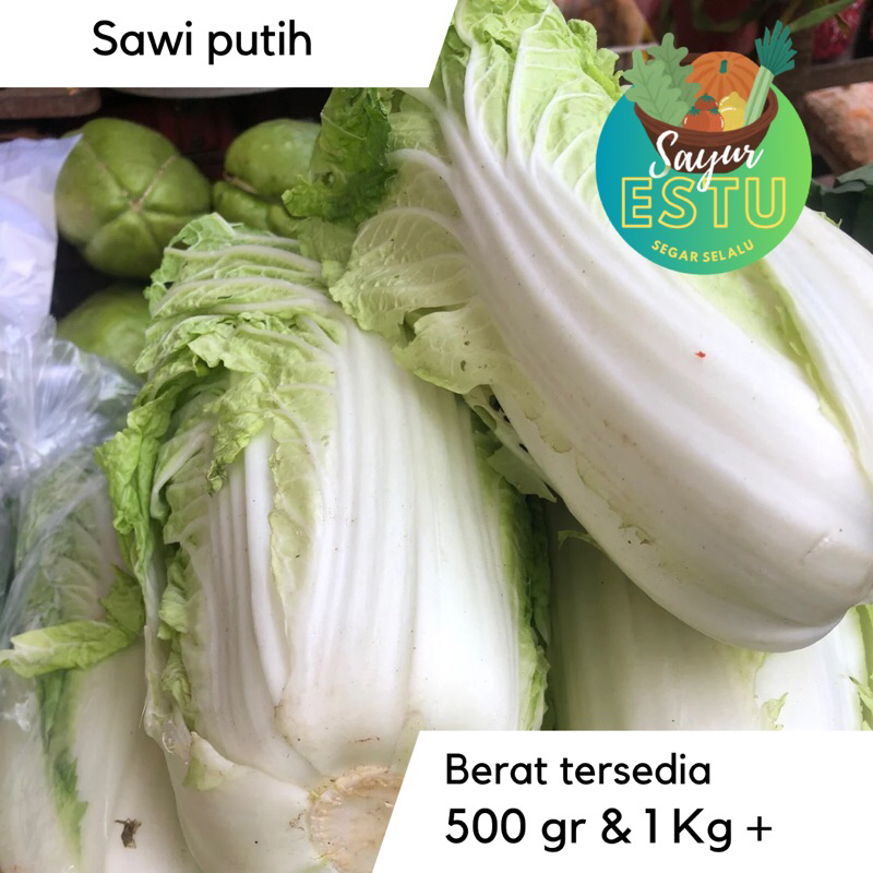 

Sawi Putih [GRATIS ONGKIR]