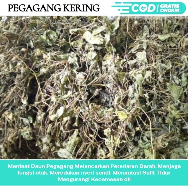 

Daun pegagang kering 1kg