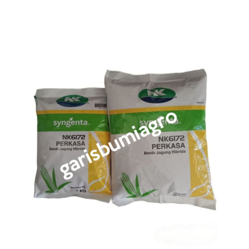 NK 6172 PERKASA Benih Jagung Hibrida