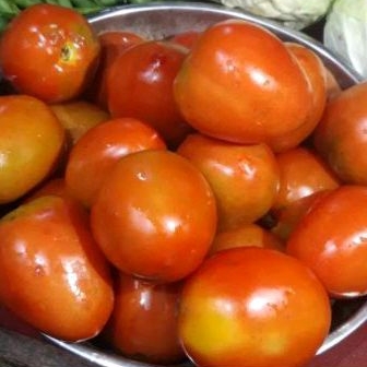 

Tomat Merah 1 Kg
