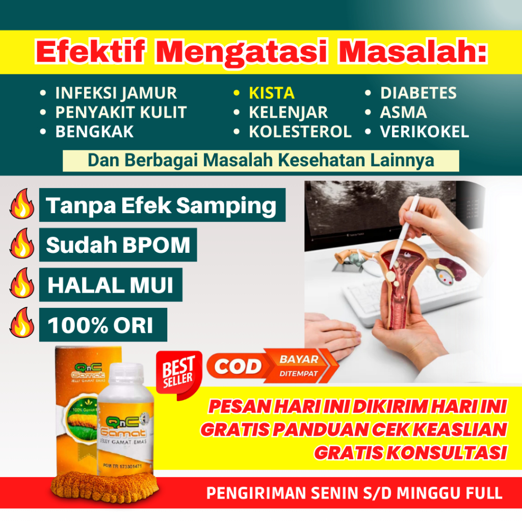 [BISA COD] OBAT KHUSUS KISTA OVARIUM DAN KISTA BAKER 100% ASLI HERBAL - QnC Jelly Gamat Asli