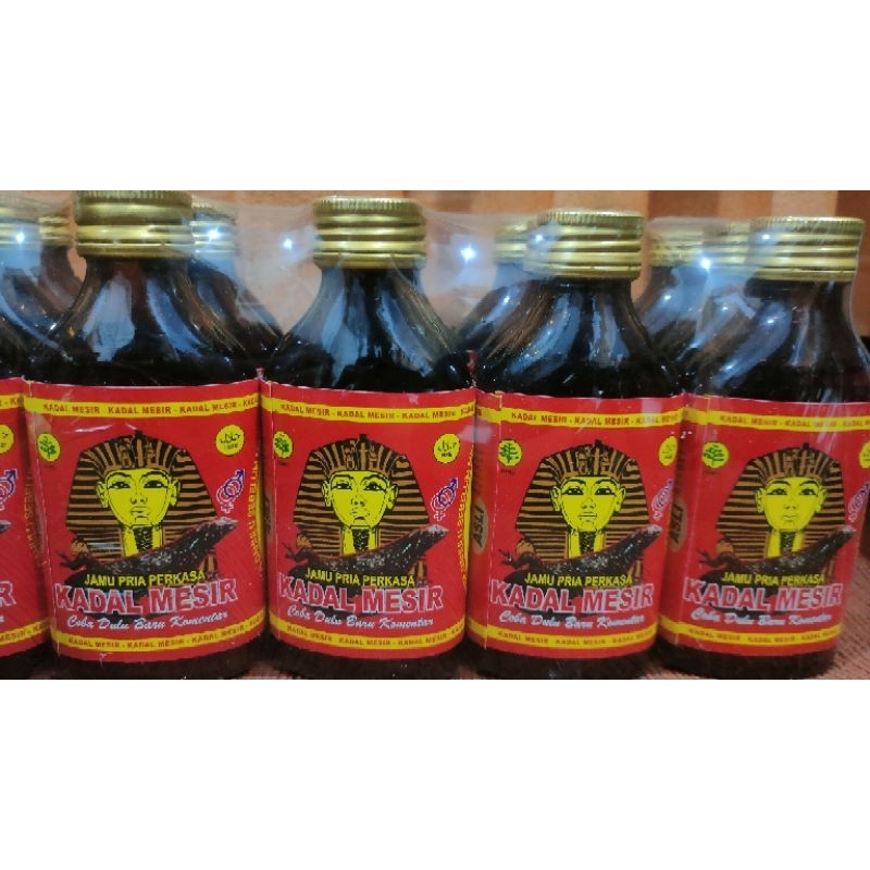 Jamu Kuat Kadal Mesir Besar Original Herbal