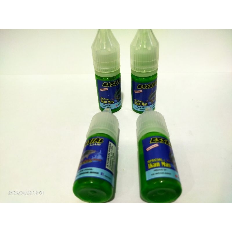 Essen ikan mas paling gacor KJA anclom mania