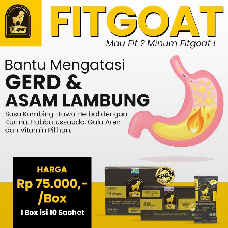 

Susu Kambing Etawa Figoat dengan bahan herbal habbatussauda mampu atasi Gerd dan Asam lambung