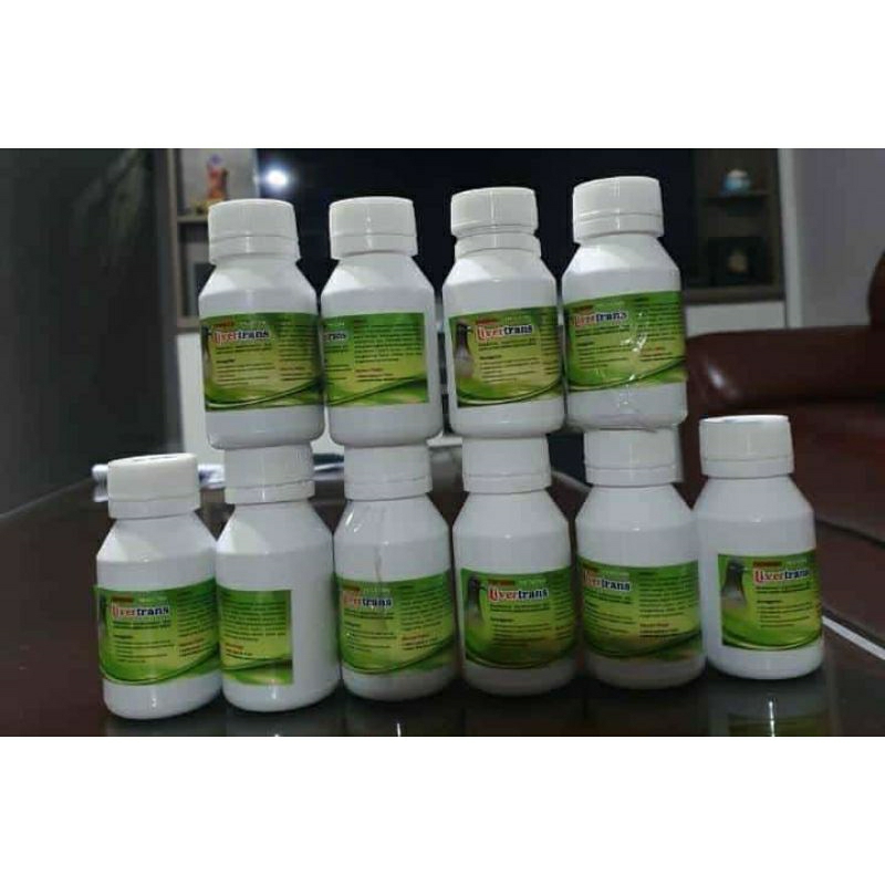 LIVERTRANS LIVERTRAN TOPSONG TOP SONG