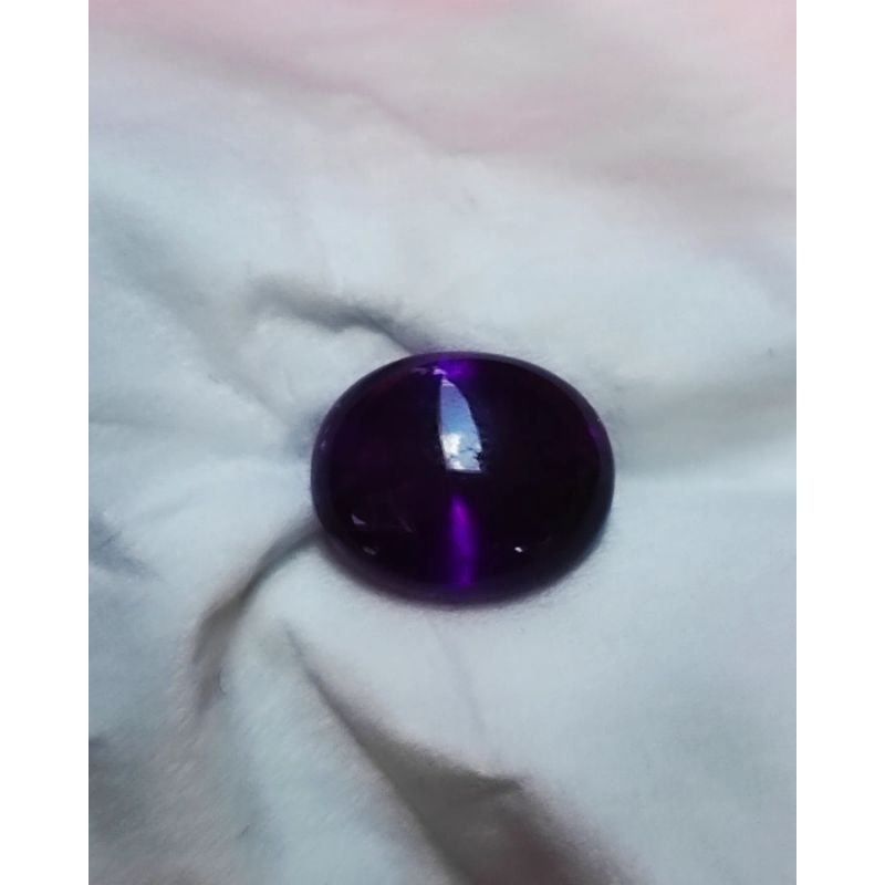 KECUBUNG UNGU WULUNG, KECUBUNG UNGU BENTOL, KECUBUNG AMETHYST, KECUBUNG KALIMANTAN