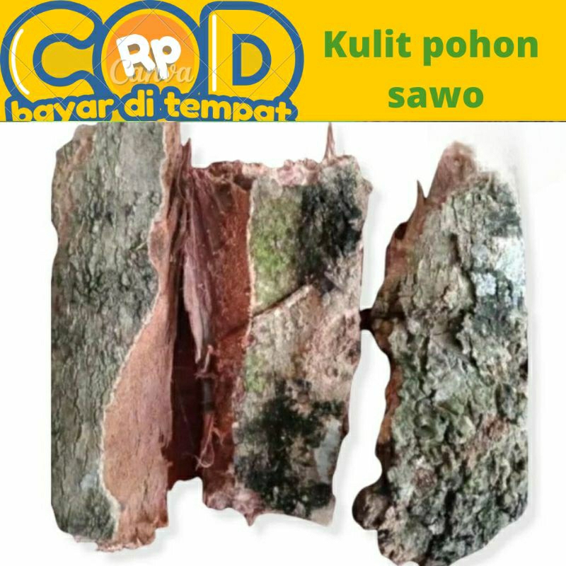 

kulit pohon sawo segar 100 gram