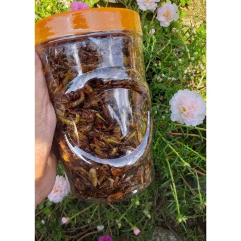 

belalang beras crispi pedas gurih