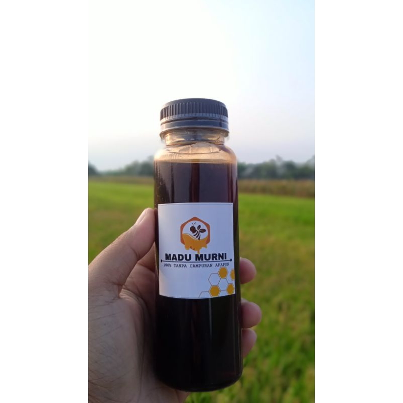 

Madu murni akasia 100%murni