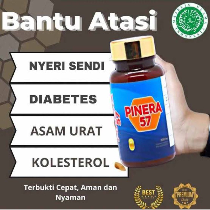 (ORIGINAL) PINERA 57 | Pinus Merah Korea + Minyak Ikan