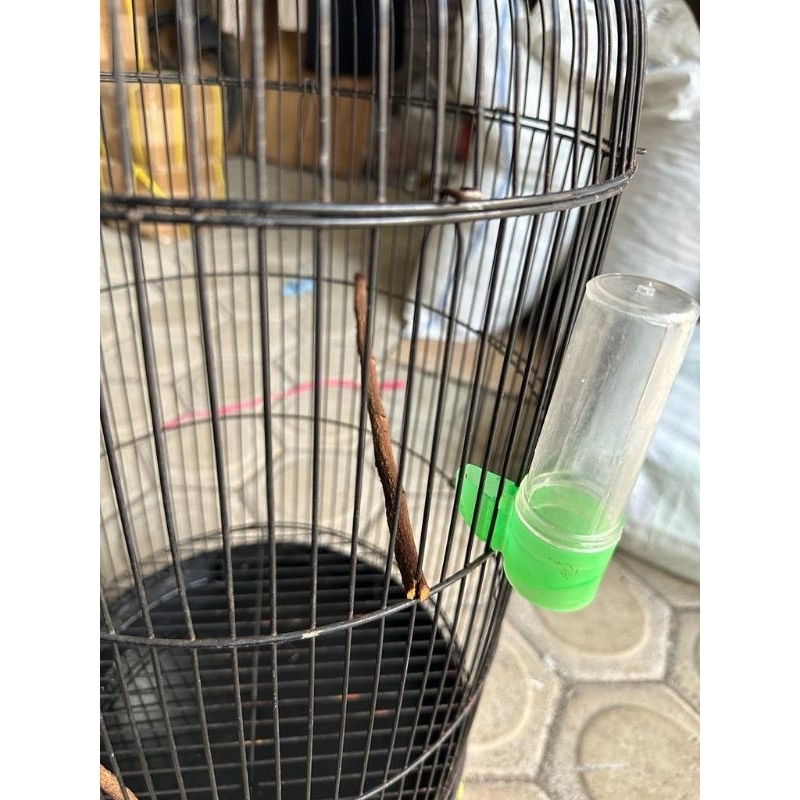 DISPENSER MINUM BURUNG DISPENSER TABUNG CEPUK PAKAN MINUM BURUNG