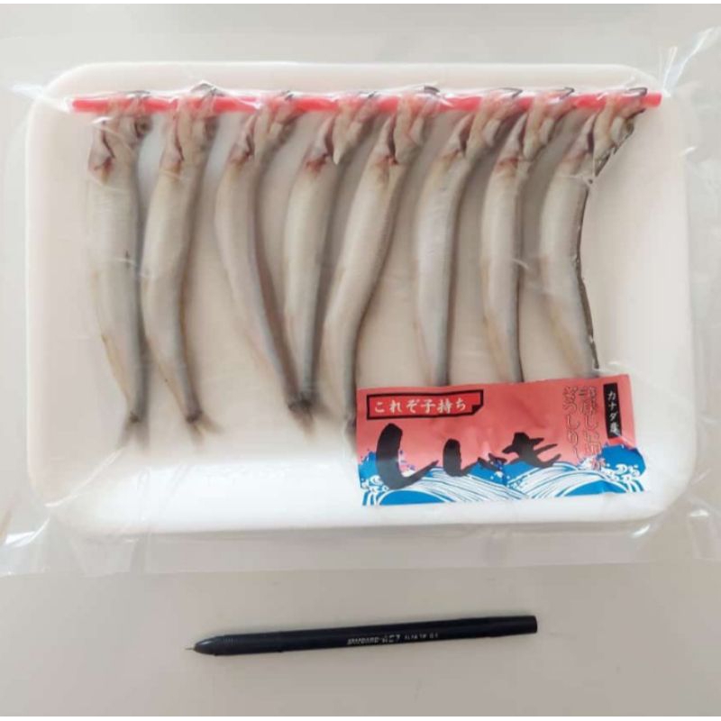 

Ikan Shisamo / Capelin Fish Female (Full Telur) 1 pack isi 8