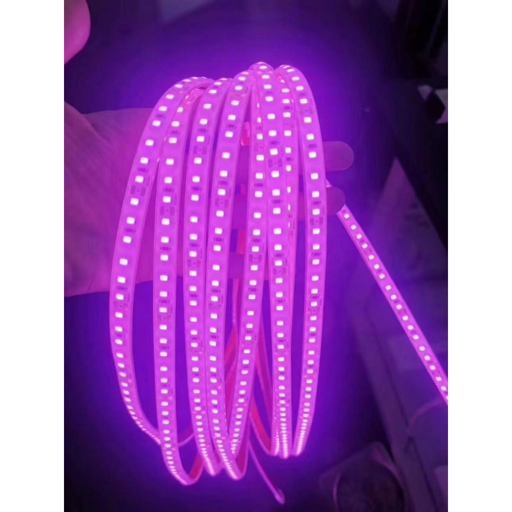 terbaru 5050 paket lampu led strip selang 5050 10m-15m-20m-30m (lampu strip+ soket+tutup )5050 lampu