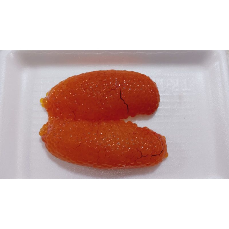

Telor Ikan Sembilang