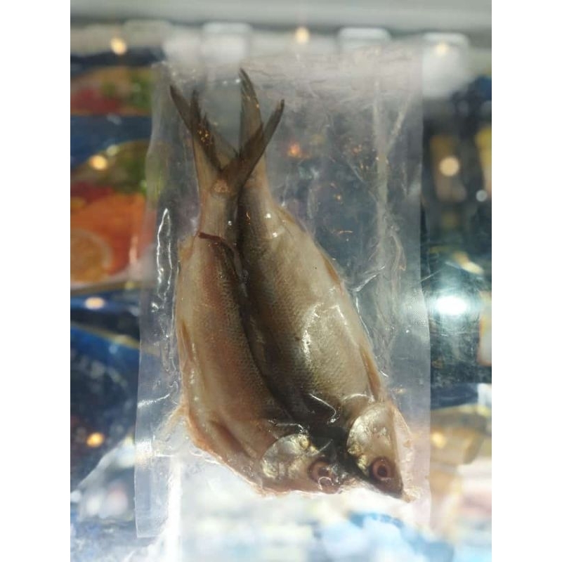 

Ikan Bandeng Cabut Duri isi 2 ekor belum berbumbu