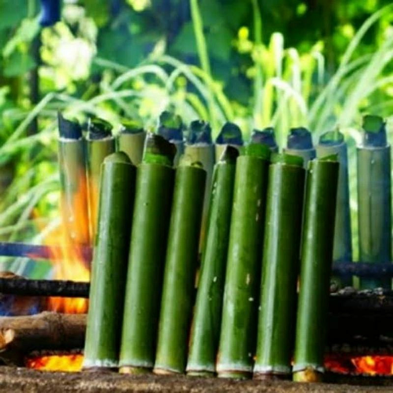 

paket hemat alat bambu lemang+daun congkok paket nasi lemeung