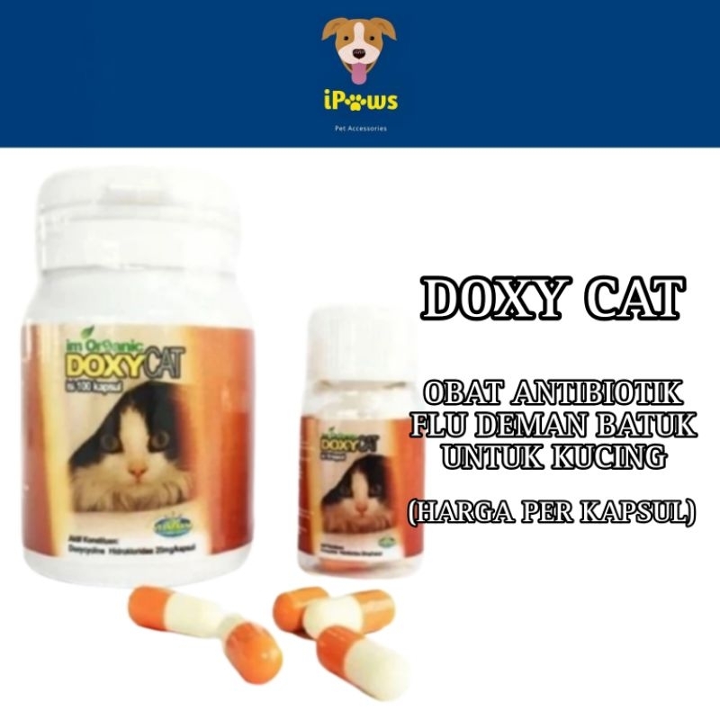 DOXY CAT - 100 Tablet Obat Antibiotik Flu Deman Batuk Untuk Kucing