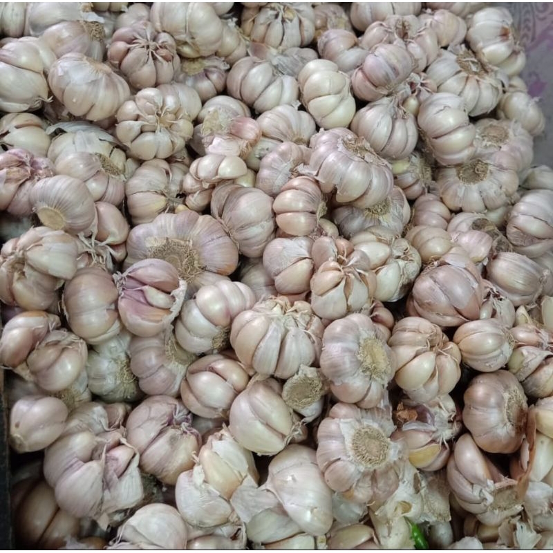 

Bawang Putih 500gram
