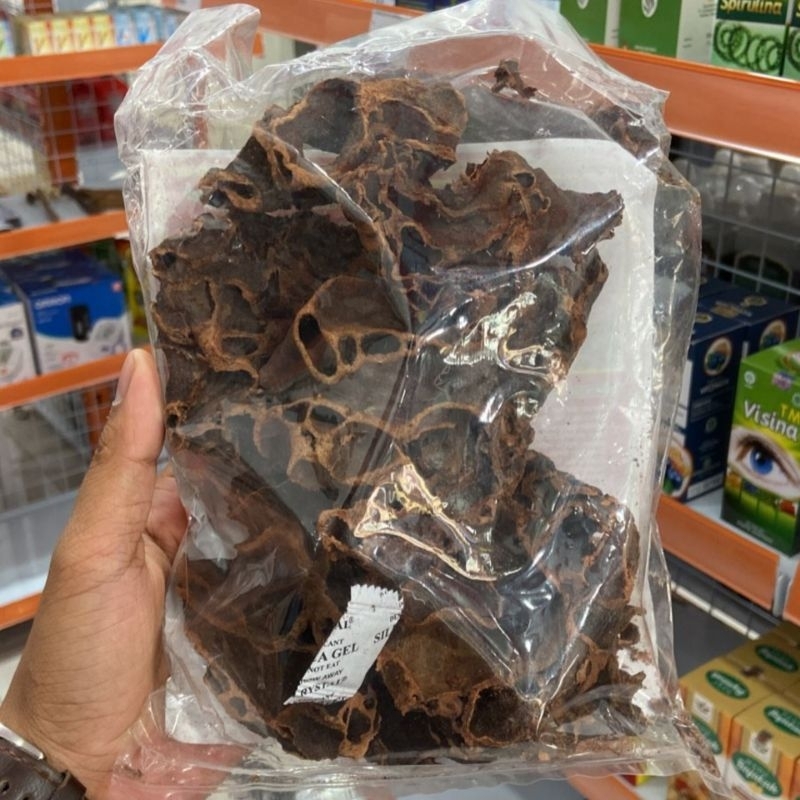 Sarang Semut Asli Papua 100gr - Sarang Semut Papua