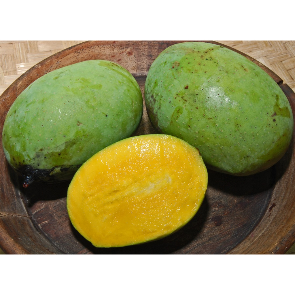 

Buah Musiman Mangga Kuweni kweni kuwini huani wani juani kebembem