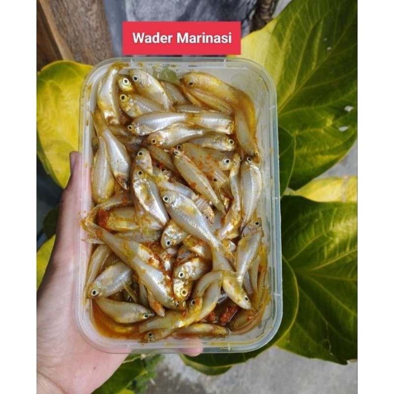 

Wader Marinasi 500gr