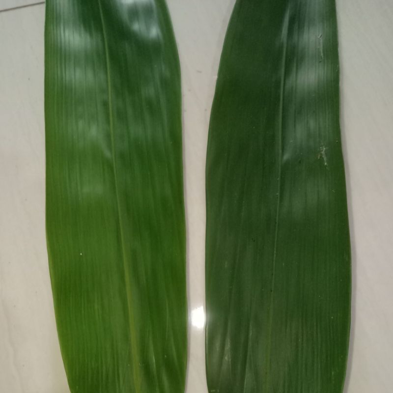 

Daun bambu per 7 lembar