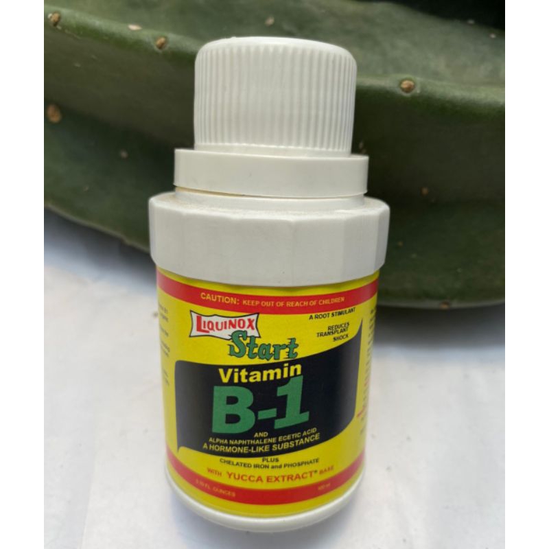 Vitamin B1 Tanaman