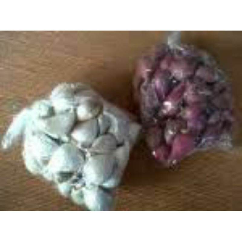 

bawang merah seperempat