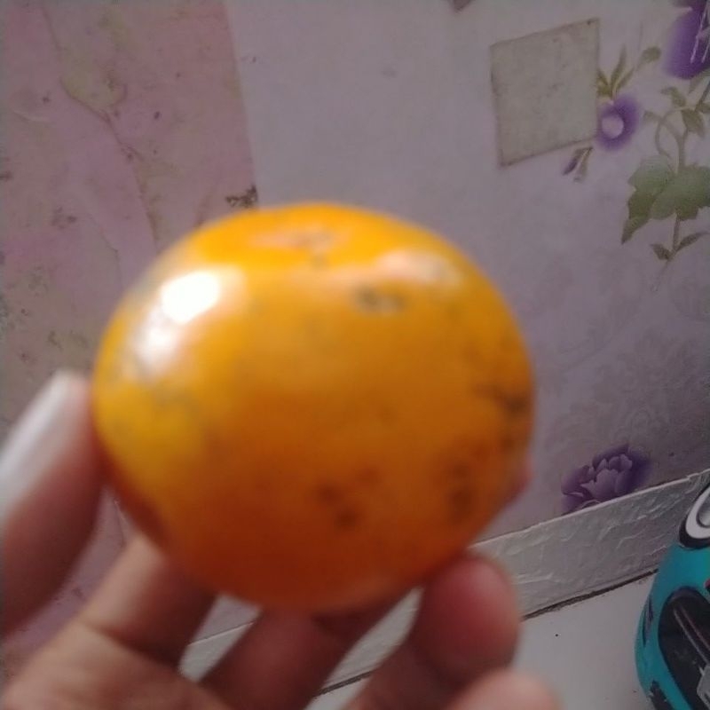 

Buah fresh