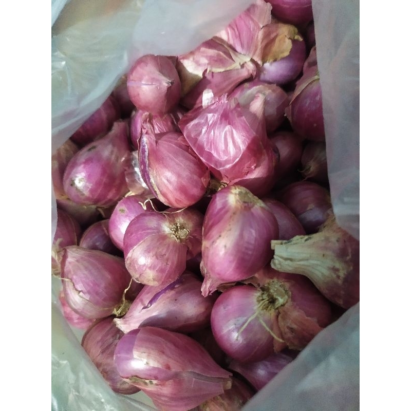 

BAWANG MERAH 1KG
