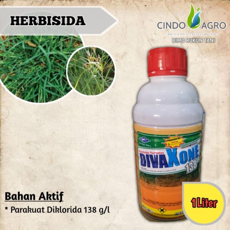 DIVAXONE 138 SL - 1liter