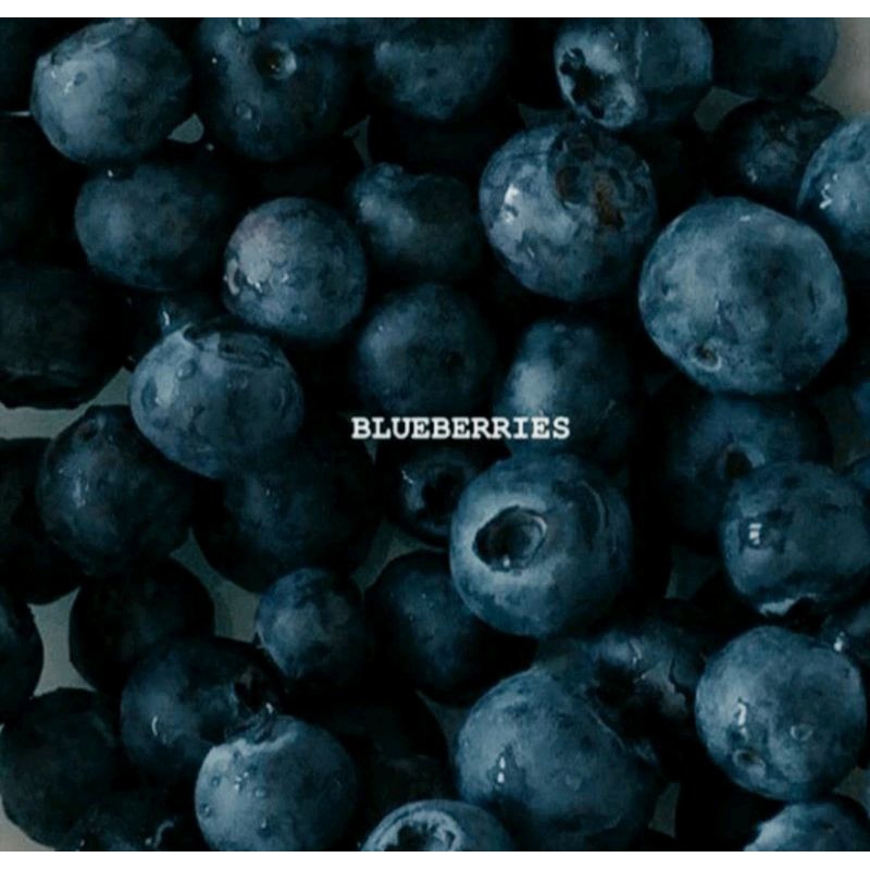 

Blueberry frozen Snack MPASI