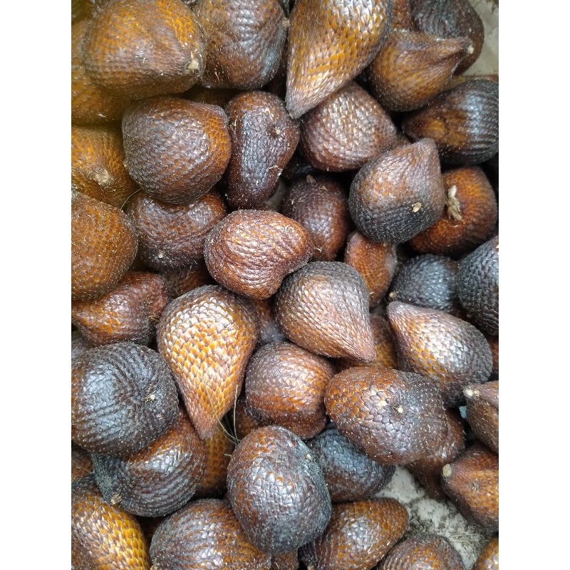 

Buah Salak 1 kilo