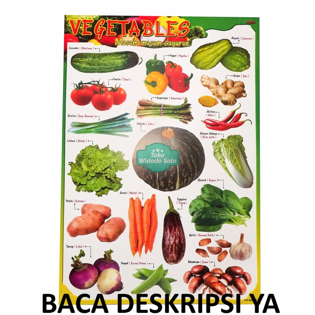 

1 LEMBAR Poster Edukasi Sayuran 35x50cm