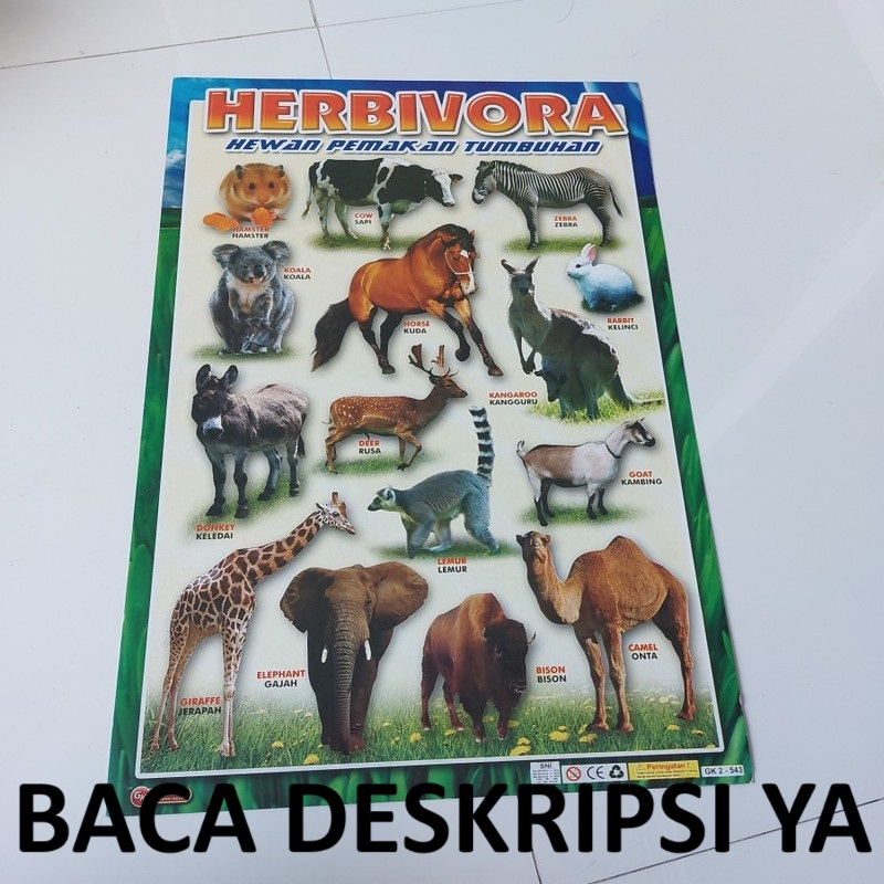 

1 LEMBAR Poster Edukasi Hewan Herbivora 35x50cm