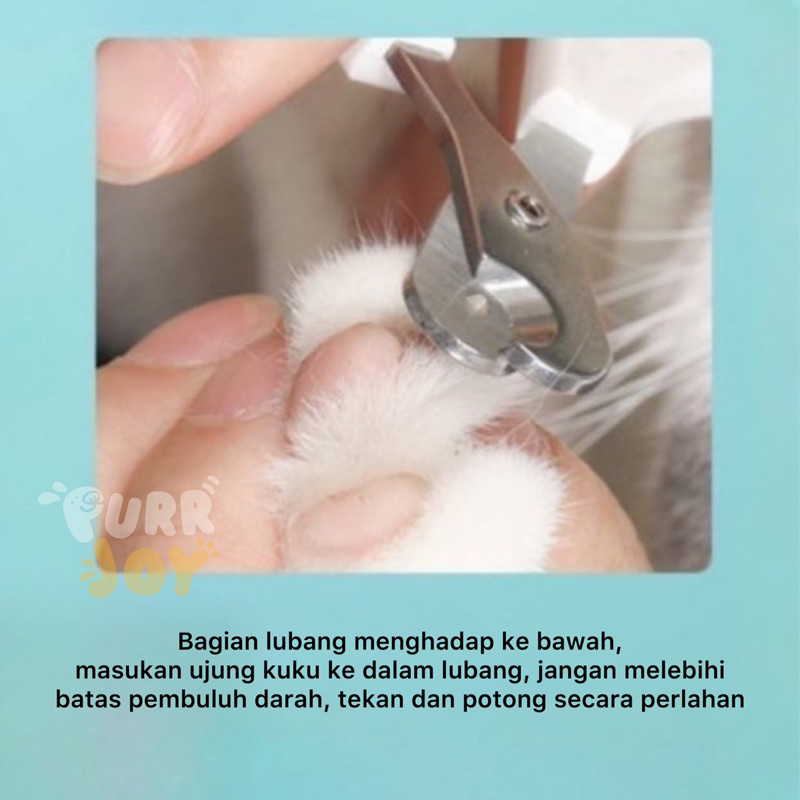 PURRJOY Gunting Kuku Anjing Kucing Lubang  Pet Nail Clipper   Alar Grooming Hewan Peliharaan Gunting Kuku Kucing Murah Lebay