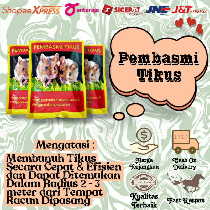 Pembasmi Tikus Paling Ampuh Di Rumah & Di Sawah