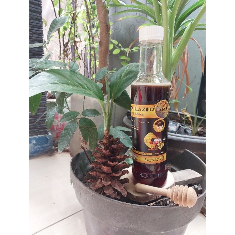 

Madu Hutan Akasia crassicarpa Jambi 400gr