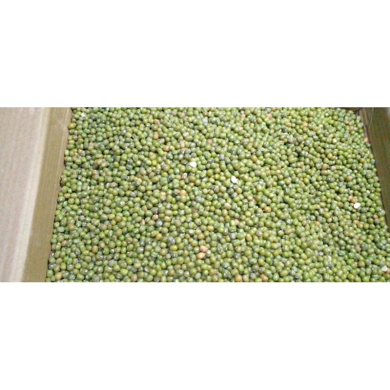 

kacang ijo yulek birma per 1/2 kg