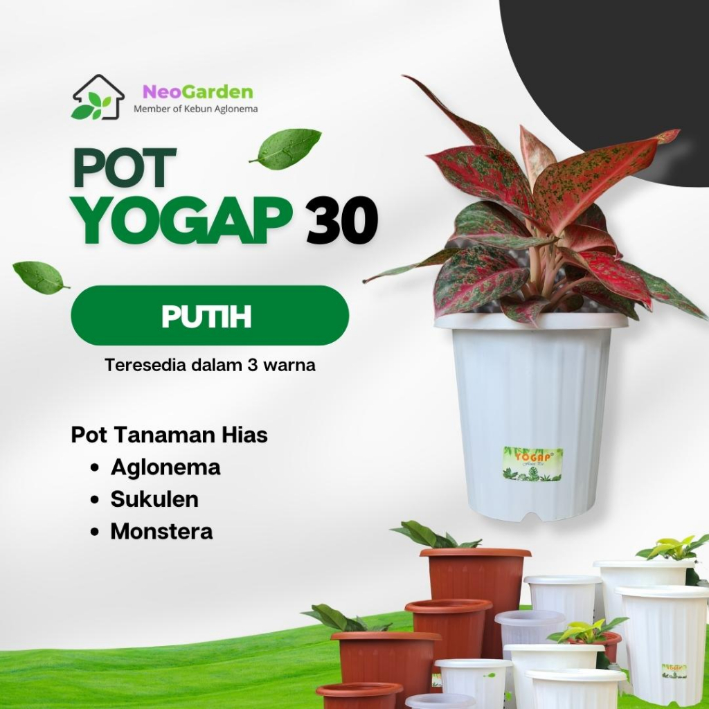 POT YOGAP 30 - Pot untuk bunga tanaman hias  pot plastik ukuran 30 warna merah bata putih bening tra