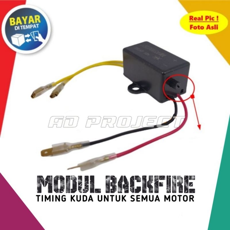 MODUL BACKFIRE MODUL TIMING KUDA RUMBLE IDLE UNTUK SEMUA MOTOR